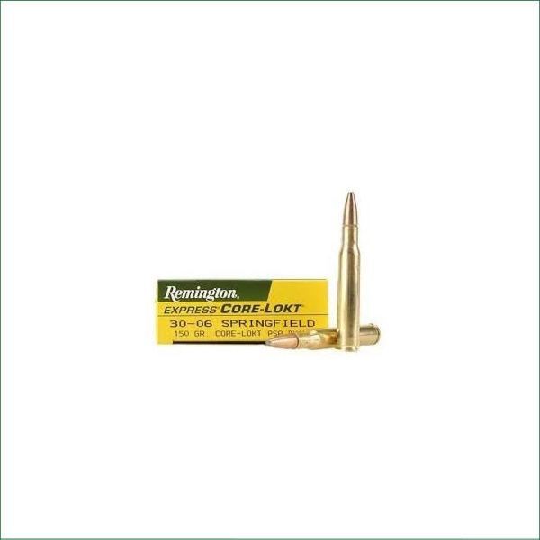 R30062 REMINGTON 30-06SPRG 150G PSP