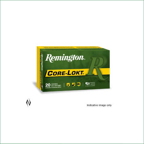 R30067 REMINGTON 30-06 220GR SP